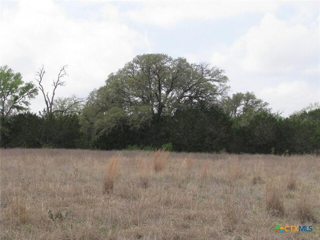 5448 County Road 182, Jonesboro, TX 76538 - photo 35