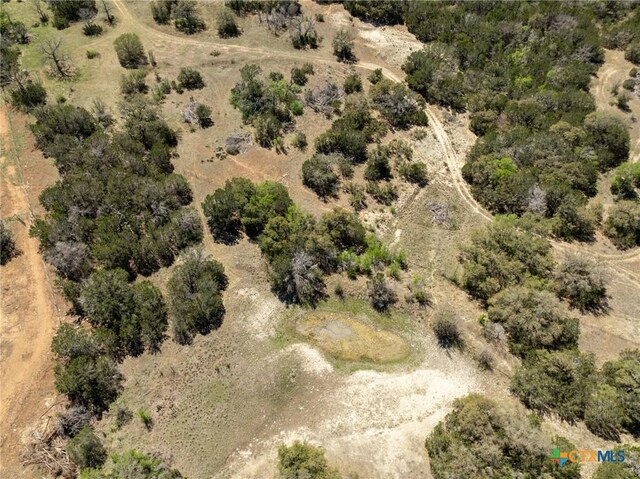 5448 County Road 182, Jonesboro, TX 76538 - photo 21