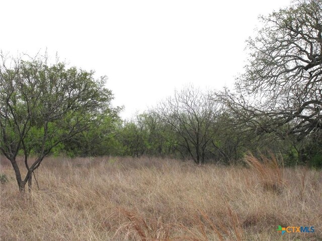 5448 County Road 182, Jonesboro, TX 76538 - photo 25