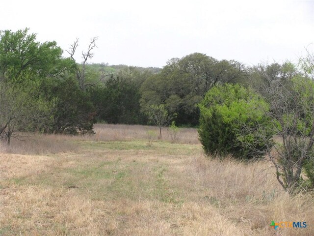 5448 County Road 182, Jonesboro, TX 76538 - photo 34