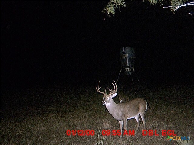 5448 County Road 182, Jonesboro, TX 76538 - photo 40