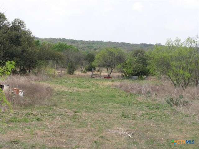 5448 County Road 182, Jonesboro, TX 76538 - photo 11