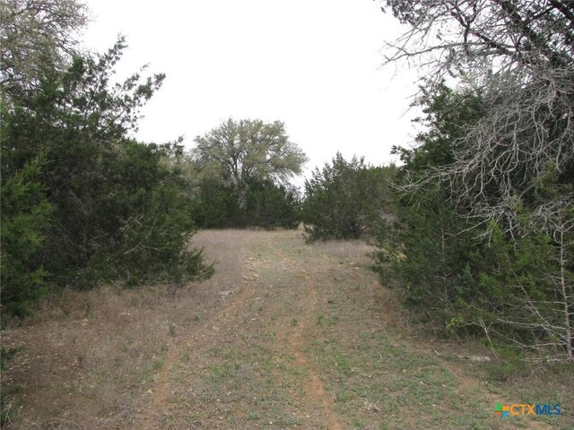 5448 County Road 182, Jonesboro, TX 76538 - photo 32