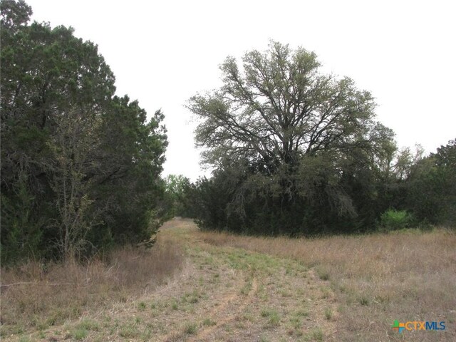 5448 County Road 182, Jonesboro, TX 76538 - photo 37