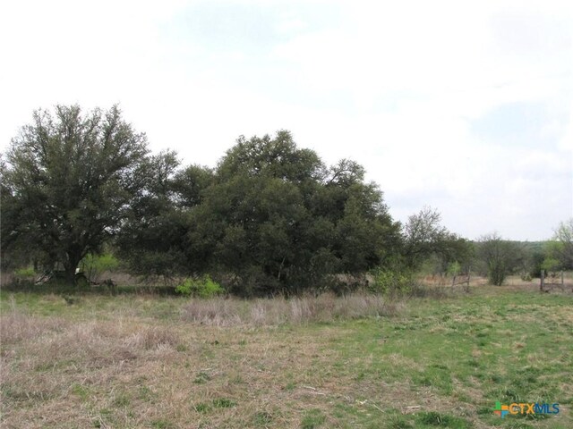 5448 County Road 182, Jonesboro, TX 76538 - photo 15