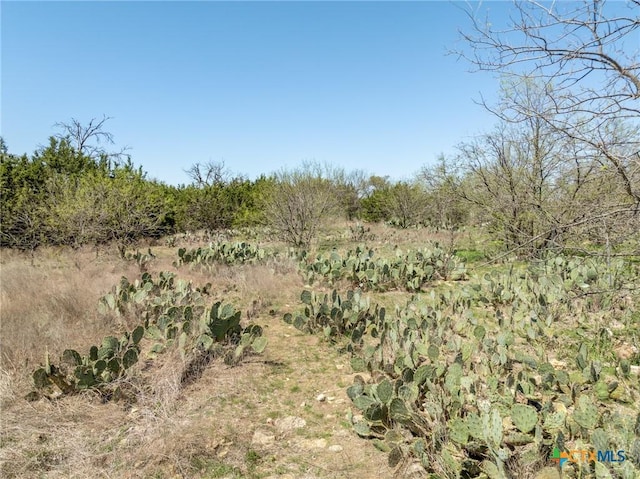 5448 County Road 182, Jonesboro, TX 76538 - photo 13