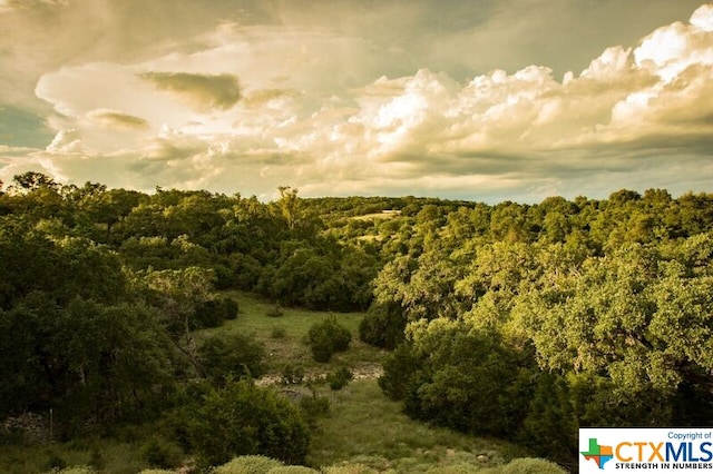 view of nature at dusk