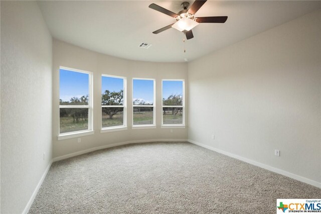 593 Tobacco Pass, New Braunfels, TX 78132 - photo 17