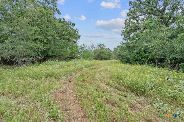 3597 Baker Rd, Kingsbury, TX 78638 - photo 23