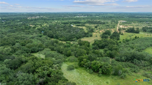 3597 Baker Rd, Kingsbury, TX 78638 - photo 37