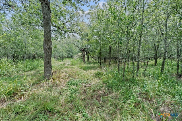 3597 Baker Rd, Kingsbury, TX 78638 - photo 11