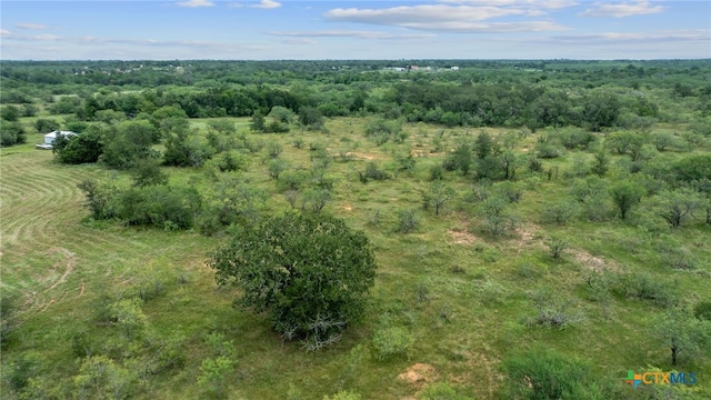3597 Baker Rd, Kingsbury, TX 78638 - photo 40