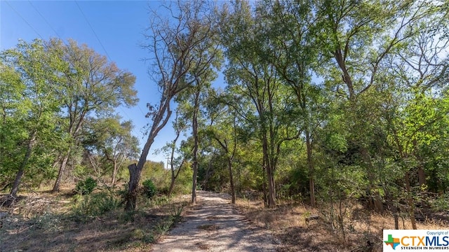 3597 Baker Rd, Kingsbury TX, 78638 land for sale