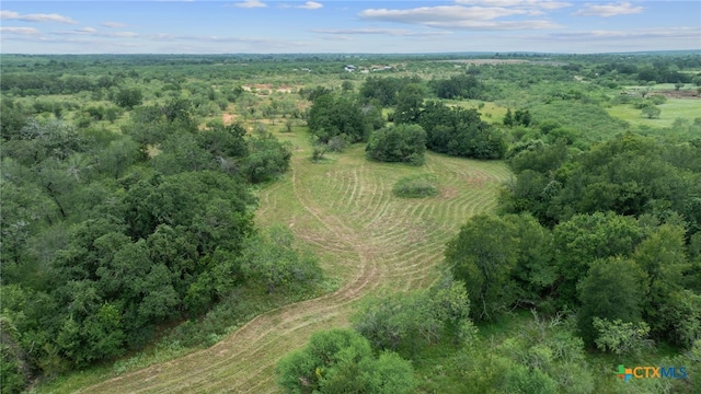 3597 Baker Rd, Kingsbury, TX 78638 - photo 38