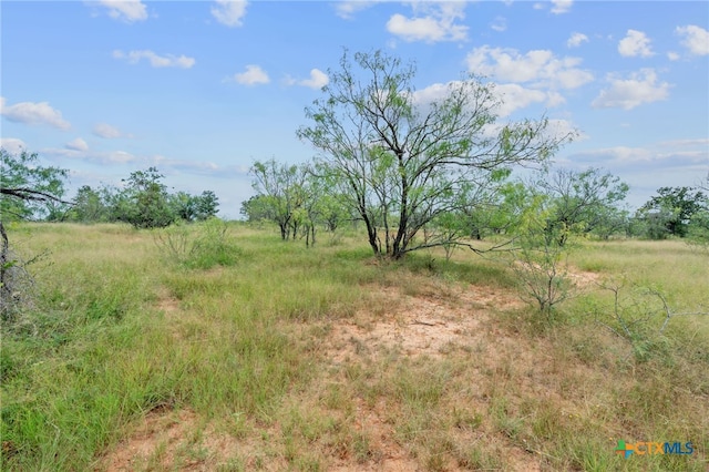 3597 Baker Rd, Kingsbury, TX 78638 - photo 21