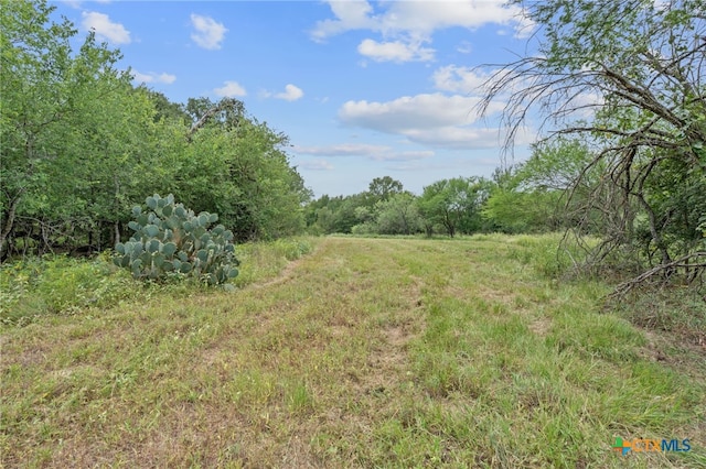 3597 Baker Rd, Kingsbury, TX 78638 - photo 28