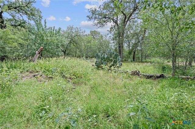 3597 Baker Rd, Kingsbury, TX 78638 - photo 10
