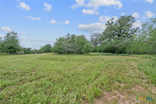 3597 Baker Rd, Kingsbury, TX 78638 - photo 15