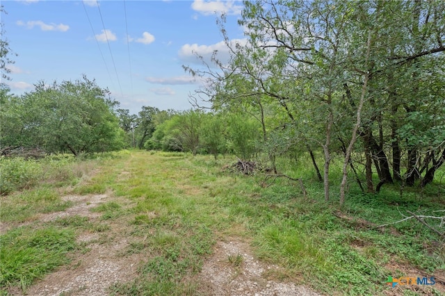 3597 Baker Rd, Kingsbury, TX 78638 - photo 30