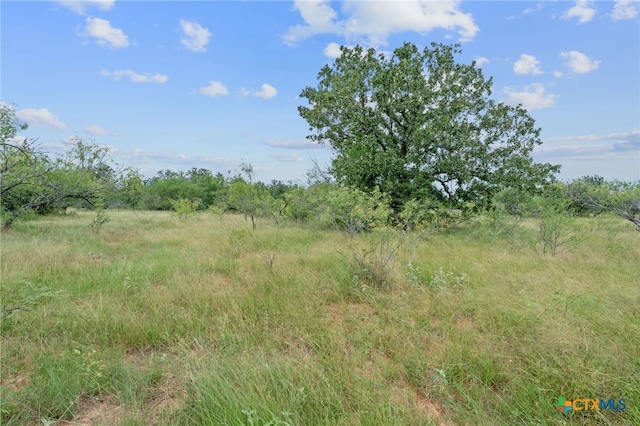 3597 Baker Rd, Kingsbury, TX 78638 - photo 19