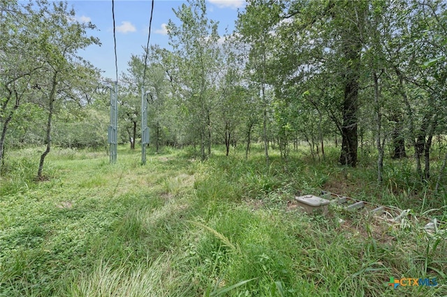 3597 Baker Rd, Kingsbury, TX 78638 - photo 13