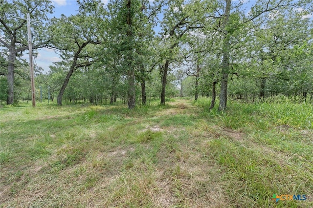 3597 Baker Rd, Kingsbury, TX 78638 - photo 14
