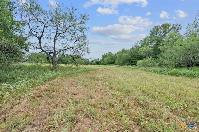 3597 Baker Rd, Kingsbury, TX 78638 - photo 26