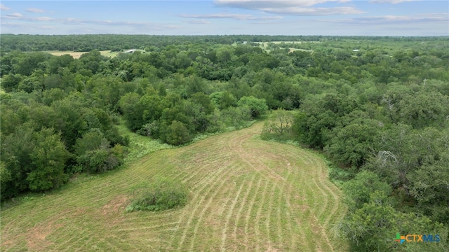 3597 Baker Rd, Kingsbury, TX 78638 - photo 39