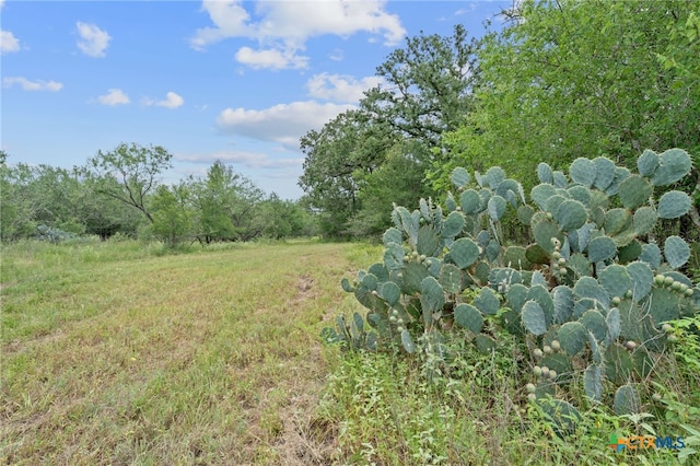 3597 Baker Rd, Kingsbury, TX 78638 - photo 27