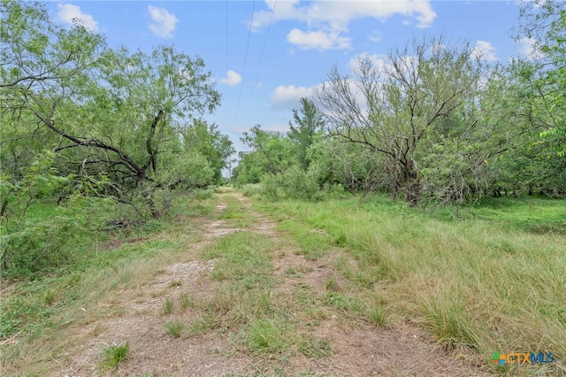 3597 Baker Rd, Kingsbury, TX 78638 - photo 9
