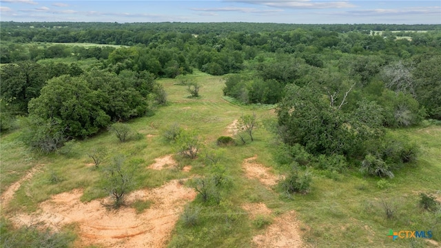 3597 Baker Rd, Kingsbury, TX 78638 - photo 42