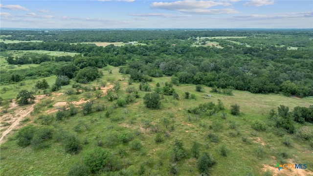 3597 Baker Rd, Kingsbury, TX 78638 - photo 45