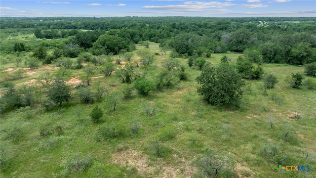 3597 Baker Rd, Kingsbury, TX 78638 - photo 44