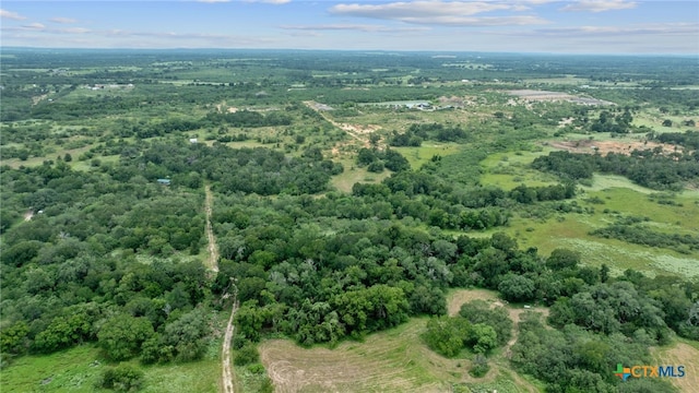 3597 Baker Rd, Kingsbury, TX 78638 - photo 34