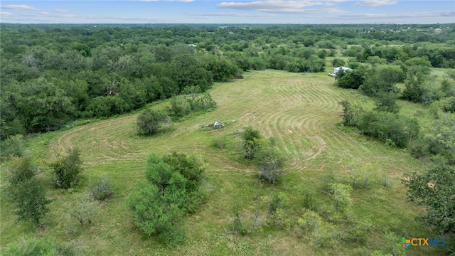 3597 Baker Rd, Kingsbury, TX 78638 - photo 41