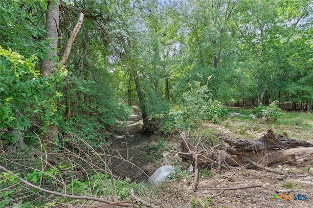 3597 Baker Rd, Kingsbury, TX 78638 - photo 31