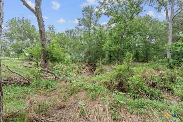 3597 Baker Rd, Kingsbury, TX 78638 - photo 8