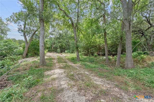 3597 Baker Rd, Kingsbury, TX 78638 - photo 32