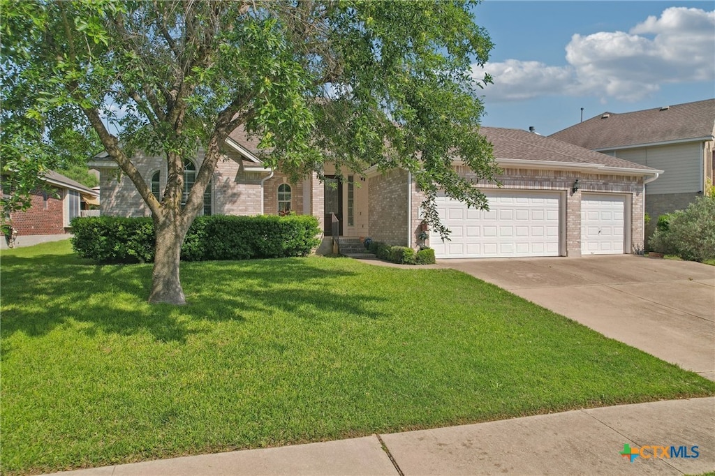 20216 Bellerive Dr, Pflugerville, TX 78660 - view of property hidden behind natural elements featuring roof with shingles, a front lawn, concrete driveway, brick siding, and an attached garage