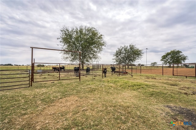 view of yard with a rural view