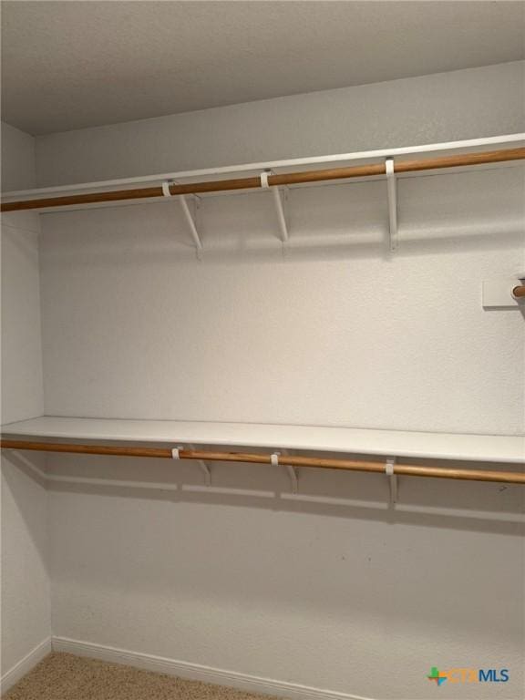 3508 Lucas St, Copperas Cove, TX 76522 - walk in closet featuring carpet floors