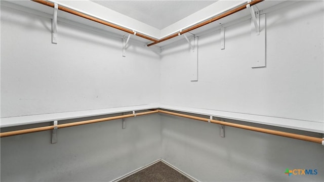 912 Bexley Dr, Seguin, TX 78155 - spacious closet with carpet floors
