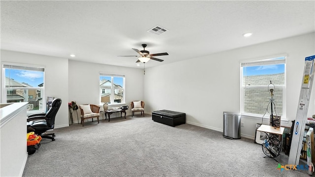 354 Deer Crest Dr, New Braunfels, TX 78130 - photo 30