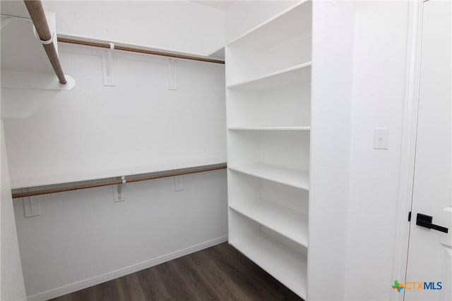 walk in closet with dark hardwood / wood-style floors