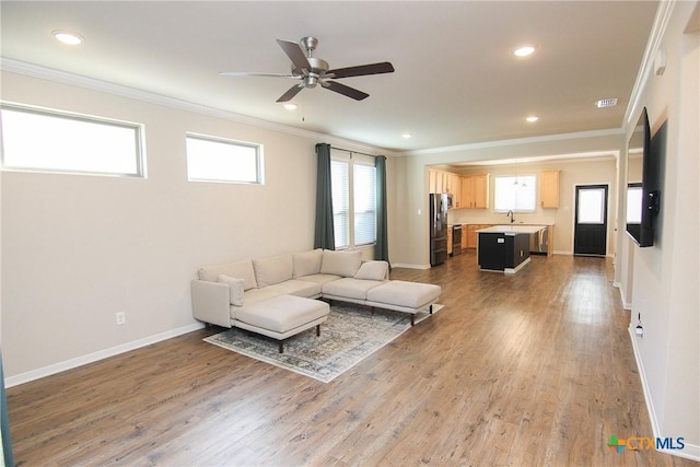 living room featuring hardwood / wood-style floors, ceiling fan, sink, and crown molding