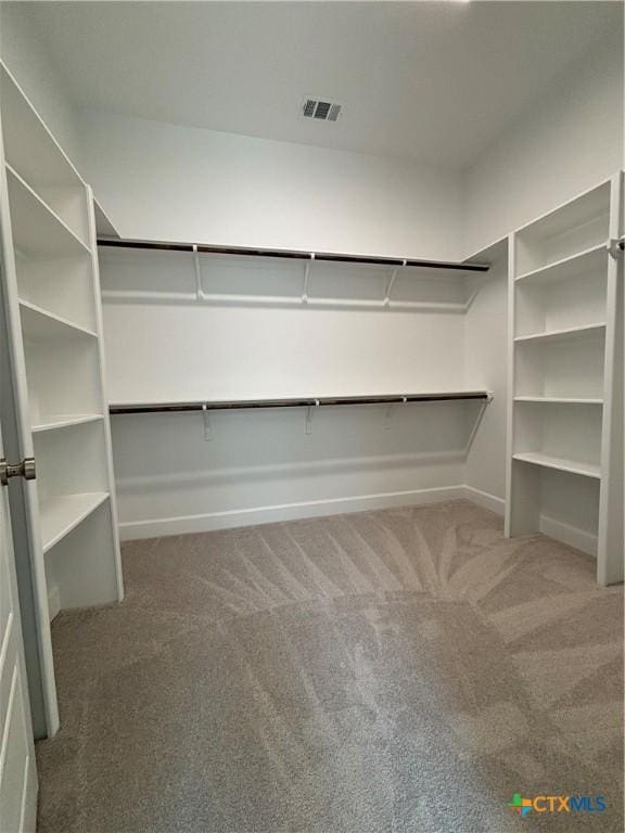 walk in closet featuring carpet and visible vents