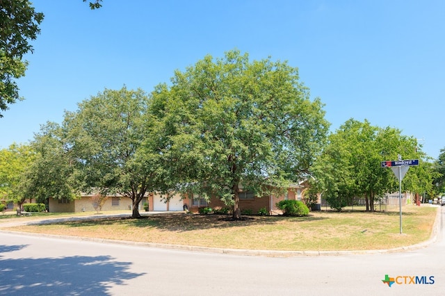 view of property hidden behind natural elements with a front yard