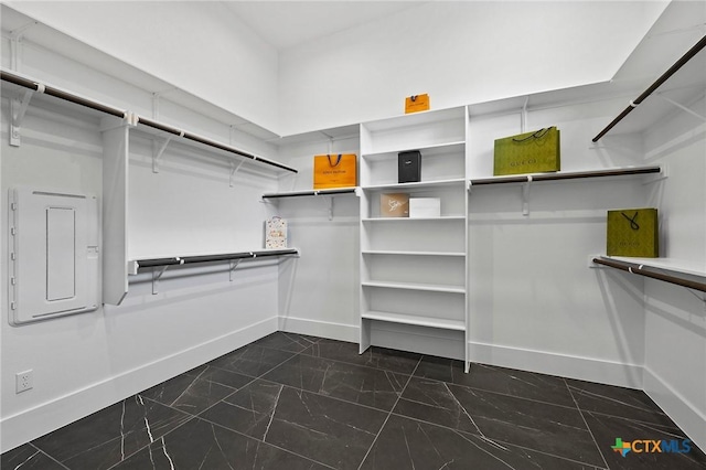 walk in closet with electric panel