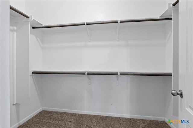 2226 Hayes St, Temple, TX 76502 - spacious closet with carpet floors