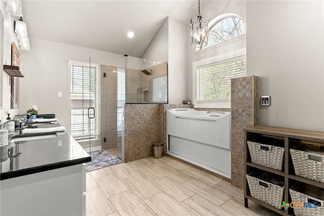 full bathroom with a wealth of natural light, a shower stall, and vanity